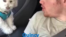 国产单身狗视频在线,揭秘当代单身生活百态