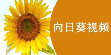 国产免费向日葵视频,畅享视觉盛宴的云端乐园