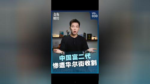 国产富2代在线视频,揭秘新一代互联网创业精英的崛起之路